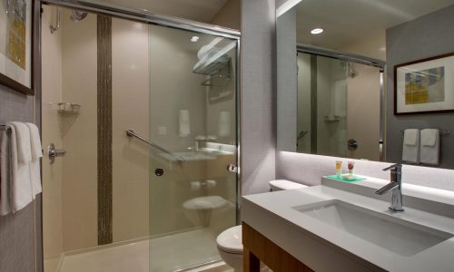 HyattPlaceMilwaukeeDowntown10-585303eb5056a36_5853054d-5056-a36f-23cfb85329c7a057